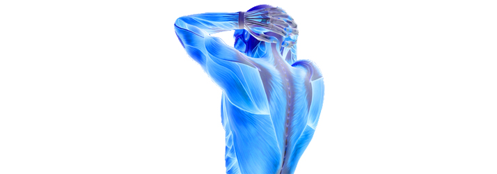 Urgent Care Bellevue TN Regenerative Medicine Urgent Care Bellevue TN Regenerative Medicine